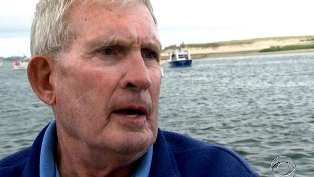 Capt. David Murdoch, who operates boat tours on the Cape Cod shore, said thousands of seals could be attracting sharks to the area. 