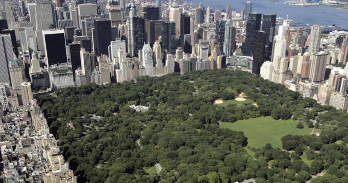 Elderly woman raped and mugged in Central Park in broad daylight, NYPD ...