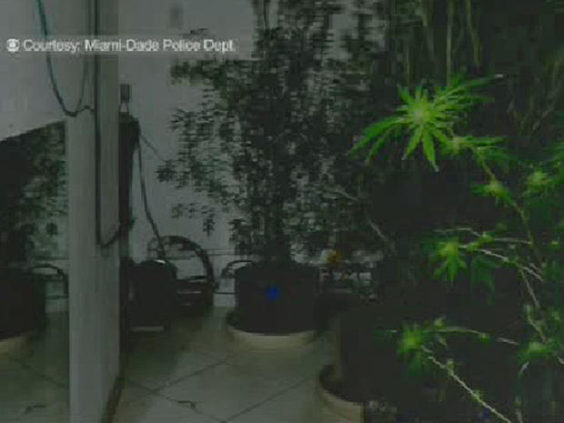 Marijuana_Grow_House_Shooting 