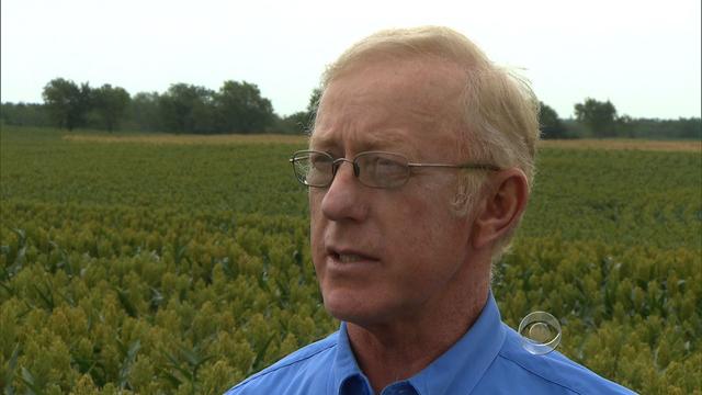 Nebraska farmer Donald Bloss in front of one of his sorghum fields 
