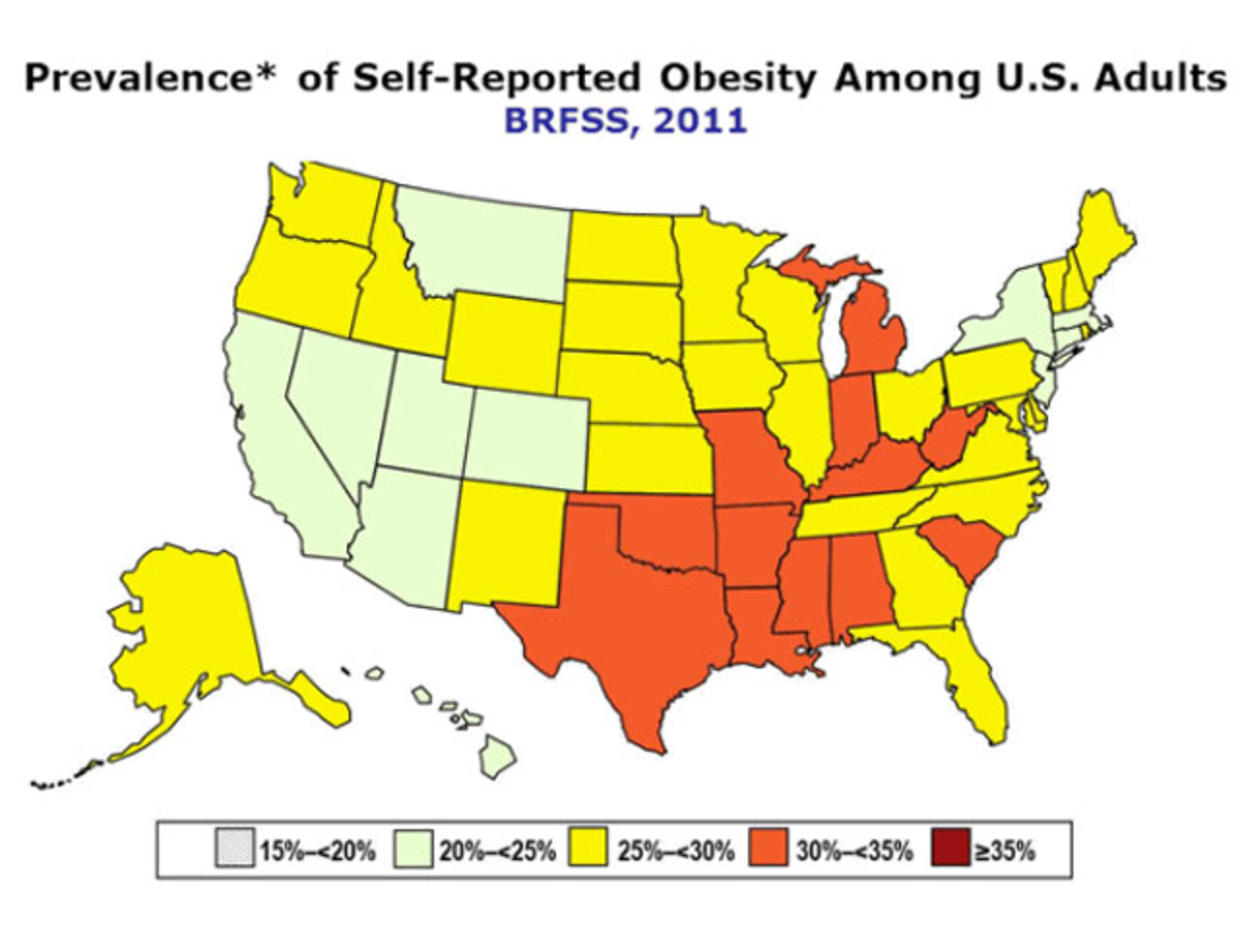 United States Obesity Rate 2024 Clea