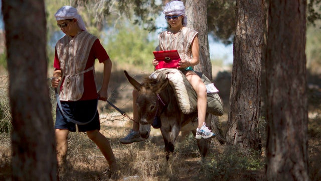 Wi-Fi-outfitted donkey at Kfar Kedem 