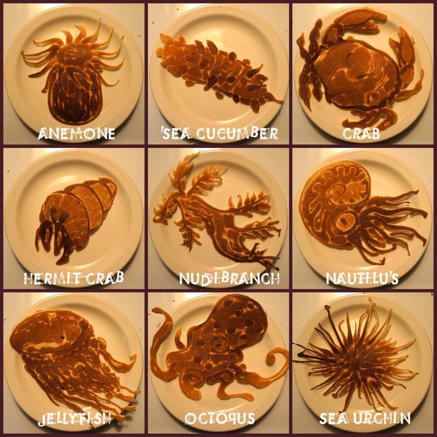 10-09-3-18-12-marine-invertebrates.jpg 