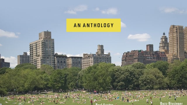 Central Park, Andrew Blauner 