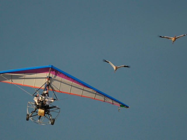 Russian President Vladimir Putin flies in a motorized hang glider 