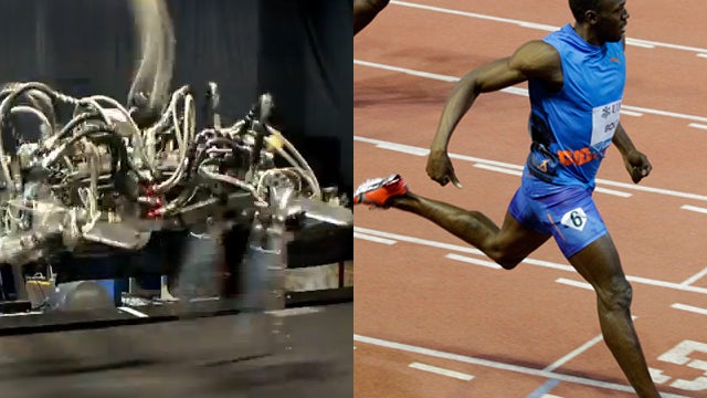 Cheetah_Robot_Usain_Bolt_120907.jpg 