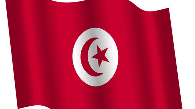 Tunisian flag 