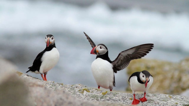 sm_0909_nature.jpg