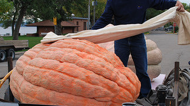 big-pumpkin.png 