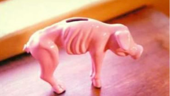 Shrunken_pig_cropped.png 