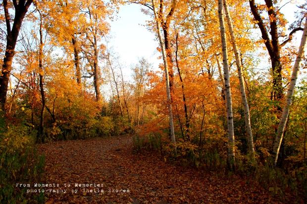 Fall Colors 2012 