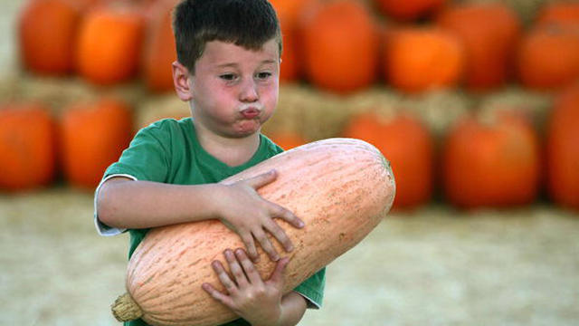 little-boy-carries-pumpkin-getty.jpg 