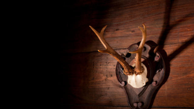 hunting-deer-antlers.jpg 