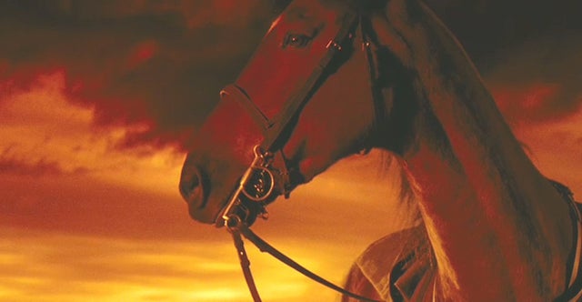 JW_warhorse_sunset.jpg 