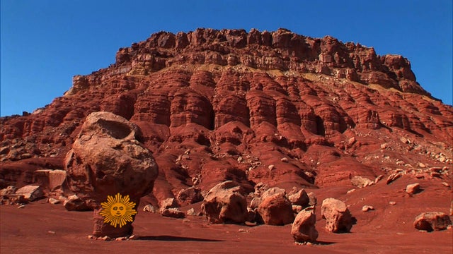 NATURE.jpg
