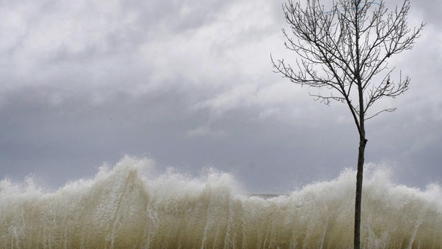 Storm surge hits a small tree as winds from Hurricane Sandy reach Seaside Park in Bridgeport, Conn., Oct. 29, 2012.  