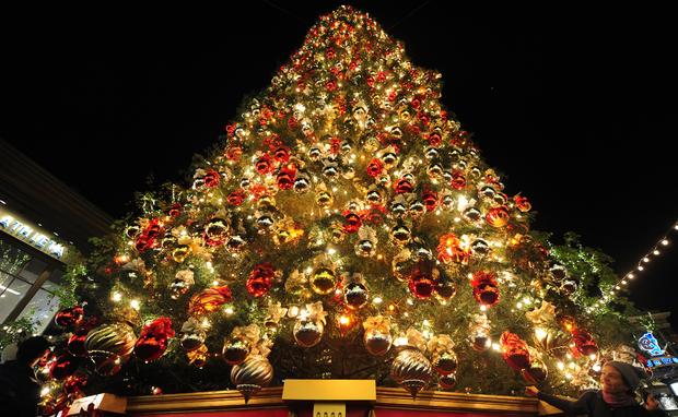 decorated-christmas-tree 