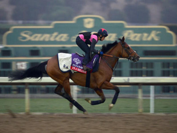 2012 Breeders' Cup - Preview 