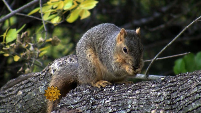 sm_1104_NATURE.jpg