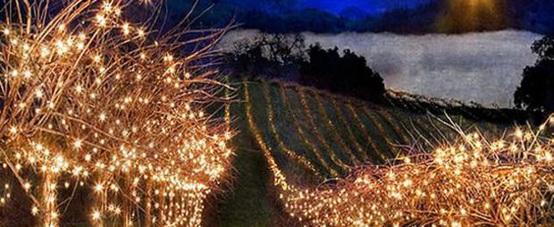 Holidays in the Vines header 