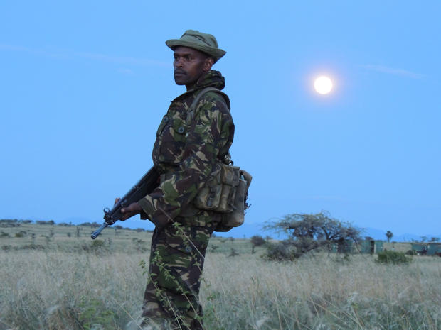 Poaching gangs now use the light of the full moon to find their targets, so ranger teams have adapted and now often send patrol teams on all-night stakeouts.  