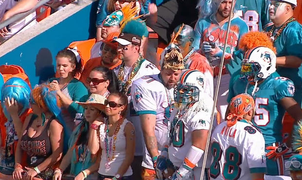 Dolphins Fans 