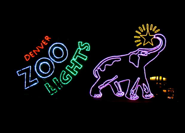 zoolights-1.jpg 