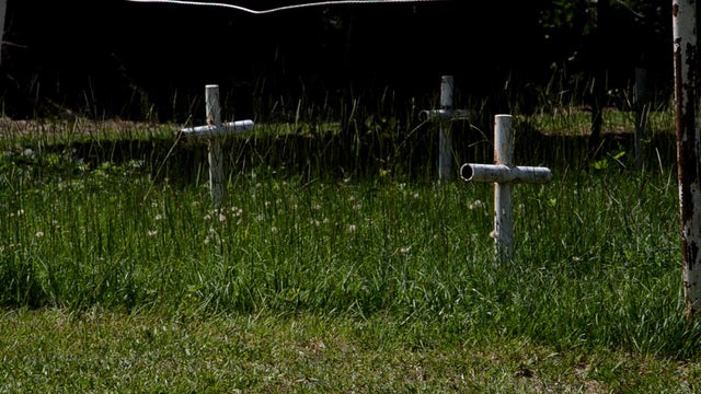 Unmarked gave sites on the grounds of the Dozier School for Boys. 