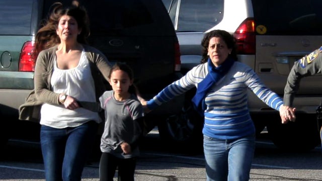 Adam Lanza's weapons, strategy 