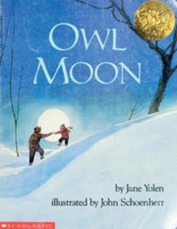 Owl-Moon 