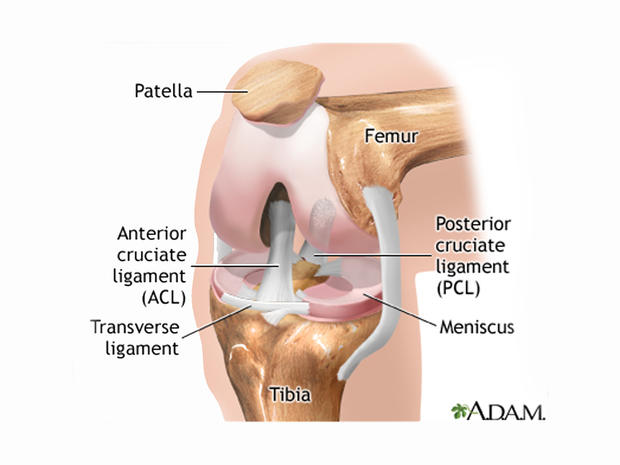 knee, acl, mcl, pcl, knee surgery, ligaments 