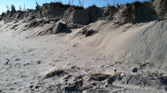 dune-erosion.jpg 