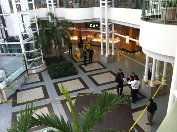 Vista Ridge Mall Shooting 