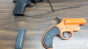 101-pct-gun-photo.jpg 