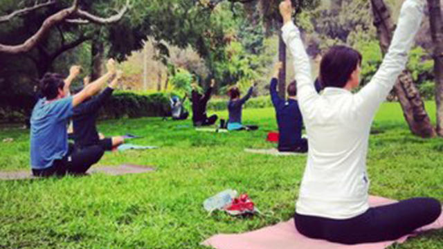 feature-yoga-in-park.jpg 