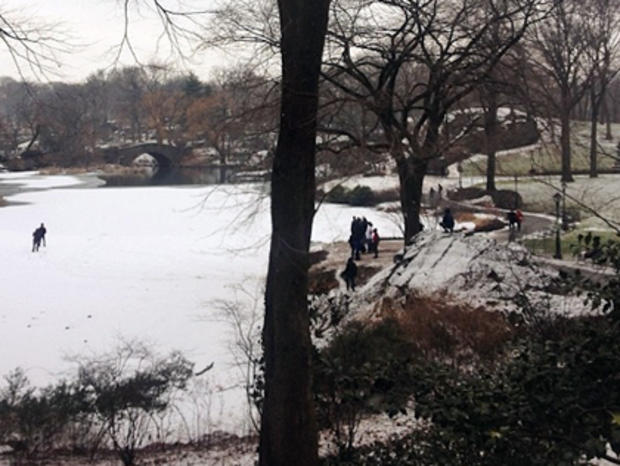 Central Park Pond Incident  