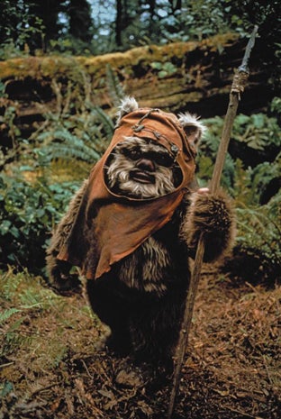 Jedi_ewok.jpg 