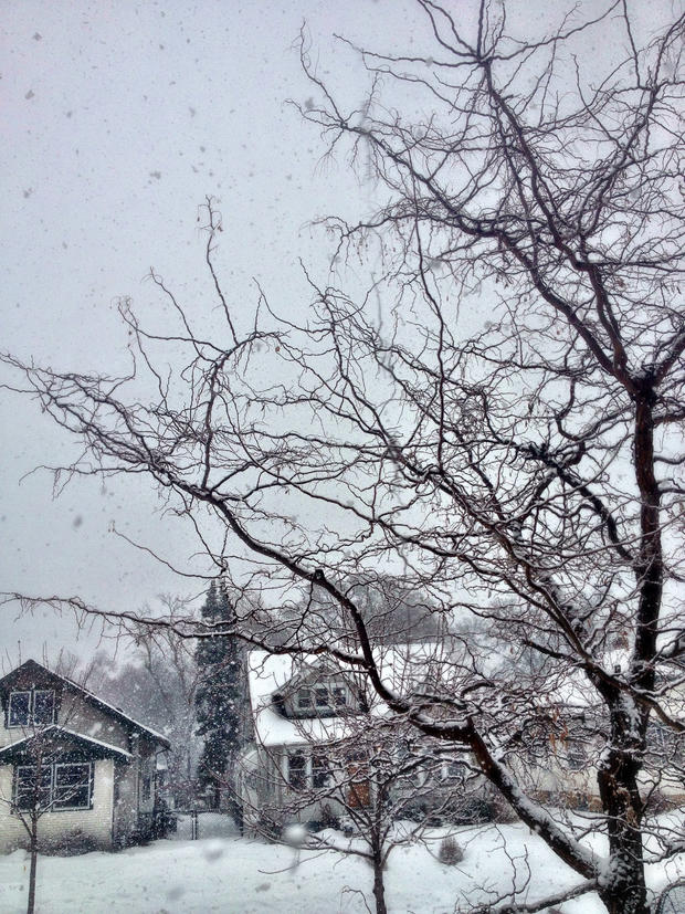 feb-10-snow-south-minneapolis-amy-hedberg.jpeg 
