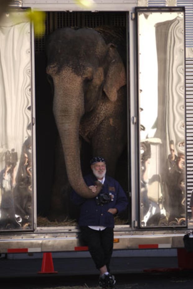 Photographer Bruce Weber poses with his and his "favorite actress" -- Tai the Elephant.  