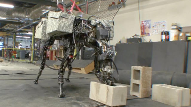 Boston_Dynamics_Robot_BigDog_1.jpg 