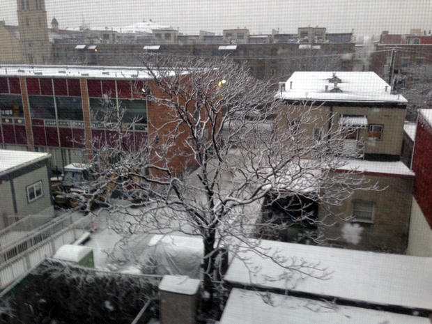 snow-in-hoboken-billie-rama.jpg 