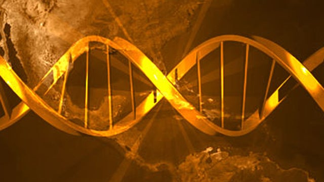 dna.jpg 