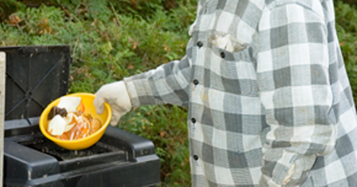 Maggots in Compost: Unwelcome Guests or Secret Allies in Your Garden? -  GreenCitizen