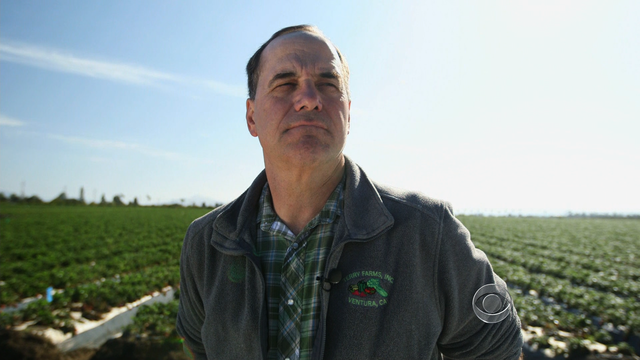 Edgar Terry runs a strawberry farm in Ventura, Calif. 