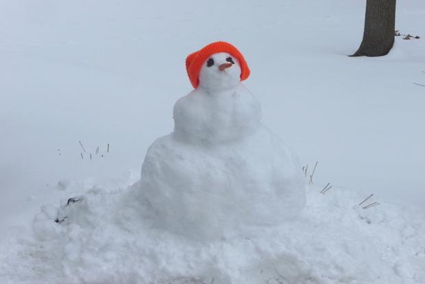 snowman_april11_sherrywinter_princeon.jpg 