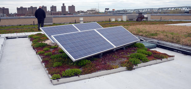 Solar Panels 5 Boro Green Roof Garden Randall's Island 