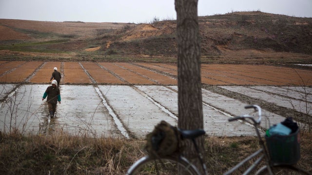 North Korean farmers work in a field inside the demilitarized zone 