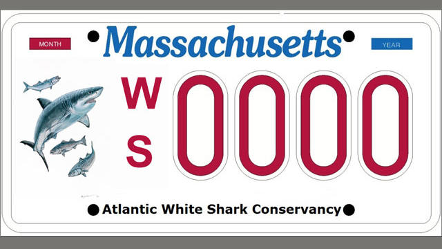 awsc-license-plate1.jpg 