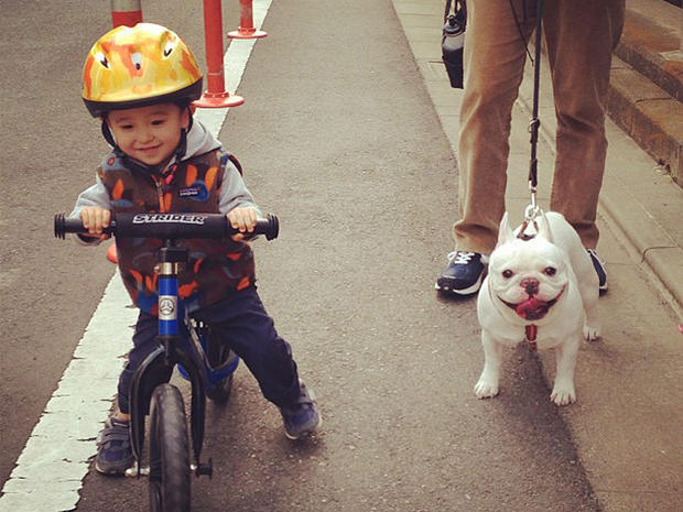 Tasuku and bulldog buddy Muu go for a bike ride 