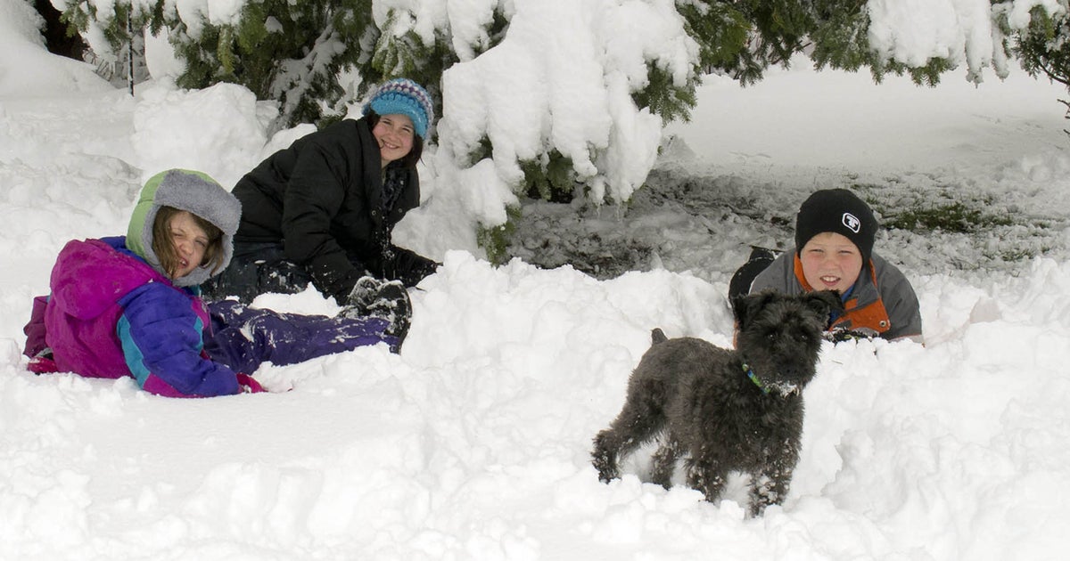 Minnesota and Wisconsin get snow day in May CBS News